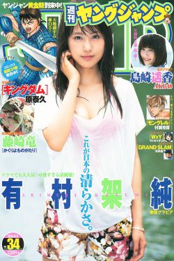 九龙珠日语
